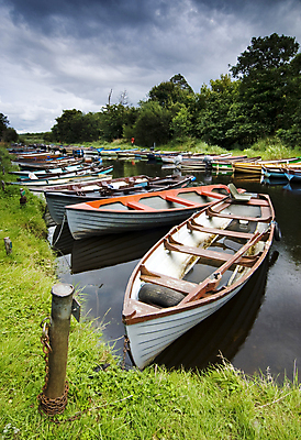 포토 JPG 해외이미지 나무 구름 요트 오렌지 자연 하늘 항해 국립공원 사람없음 세로 초록색 물 여름 강 컬러풀 반사 갈색 흰색 보트 운하 아일랜드 흐림 채널 많음 해외202004 해외포토 자연요소 식물 계절 공원 유럽 컬러 컨셉 배_교통 과일 날씨 생태계 파일형식 이미지허브
