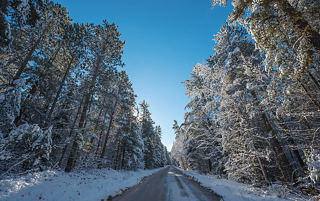 포토 JPG 해외이미지 식물 도로 자연 아침 사람없음 야외 햇빛 태양 환경 맑음 냉동 얼음 추위 가을 나뭇가지 시골 신선 숲 11월 속도 서리 침엽수 야광 내추럴 삼림지대 해외202004 해외포토 주간 자연요소 나무 계절 길 교통시설 날씨 빛 날짜 생태계 파일형식 이미지허브