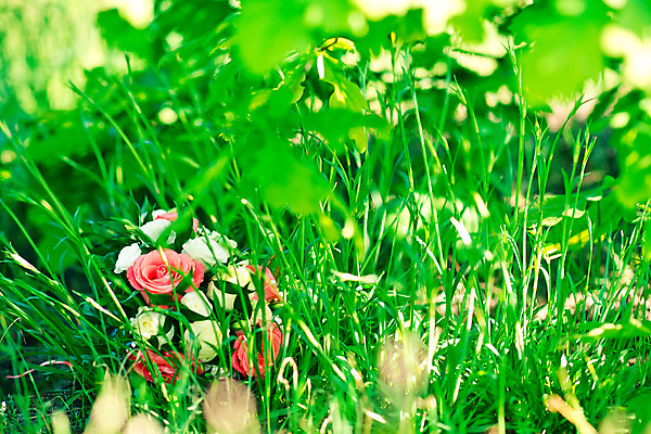 포토 JPG 해외이미지 디자인 꽃 꽃다발 결혼 자연 휴가 잔디 사람없음 장식 초록색 장미 축하 화려 다발 해외202004 해외포토 식물 컬러 컨셉 이벤트 생태계 파일형식 이미지허브