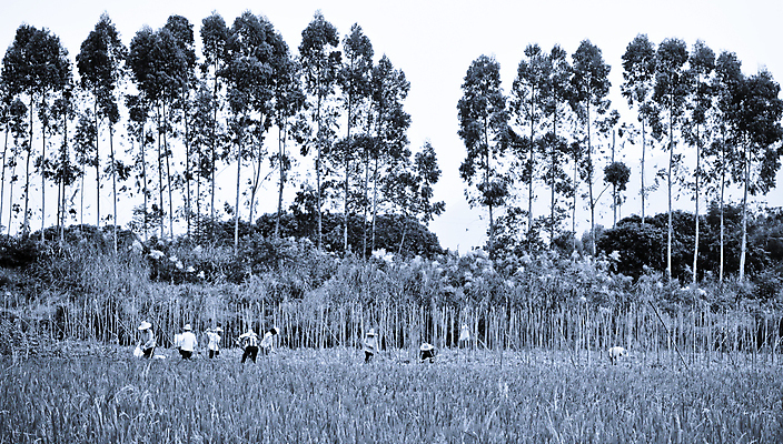 포토 JPG 해외이미지 아시아 밭 밥 노동자 사람없음 농장 중국 수확 시골 농부 가난 낫 옛날 해외202004 해외포토 직업 나라 음식 컨셉 농업 파일형식 이미지허브