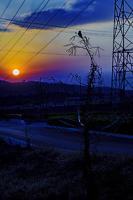 포토 JPG 해외이미지 계절 실루엣 오렌지 자연 하늘 아침 산 거리 따뜻함 안테나 풍경 사람없음 야외 파란색 햇빛 태양 일출 일몰 새벽 야간 언덕 장면 내추럴 해외202004 해외포토 주간 자연요소 컬러 과일 통신 촬영기법 노을 생태계 파일형식 이미지허브