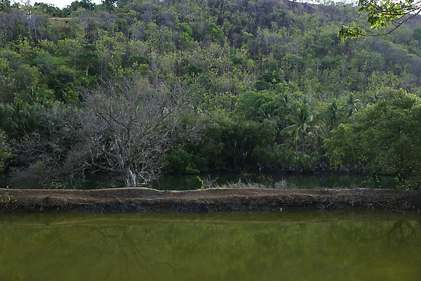 포토 JPG 해외이미지 나무 구름 전통 계절 여행 밭 농업 자연 하늘 산 주택 파노라마 풍경 사람없음 야외 건물 목재 물 여름 강 컬러풀 농장 반사 여행객 마을 봄 가을 동굴 엽서 장면 암초 남쪽 세관 해외202004 해외포토 자연요소 식물 건축물 산업 컬러 재료 촬영기법 사람 편지 방향 생태계 파일형식 관세청 이미지허브