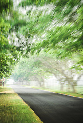 포토 JPG 해외이미지 나무 도로 선 여행 곡선 교통시설 모션 자동차 자연 추상 미술 풍경 사람없음 야외 초록색 운전 소프트포커스 숲 아스팔트 땅 방향 속도 방법 블러 해외202004 해외포토 식물 길 육상교통 컬러 교통 무늬 문화예술 촬영기법 시설 생태계 파일형식 이미지허브