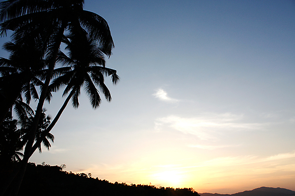 포토 JPG 해외이미지 나무 구름 행복 실루엣 모래 바다 여행 자연 하늘 휴식 손바닥 풍경 사람없음 야외 가로 여름 파란색 세트 햇빛 태양 일출 검은색 침묵 황혼 일몰 꿈 신선 저녁 휴양지 하와이 장면 코코넛 내추럴 해외202004 해외포토 자연요소 식물 손 계절 감정 컬러 컨셉 과일 촬영기법 노을 미국 소리 장소 야간 생태계 파일형식 이미지허브