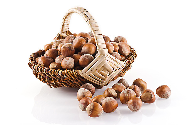 포토 JPG 해외이미지 계절 음식 백그라운드 과일 재료 건강 씨앗 사람없음 바구니 견과류 흰색 유기농 고립 헤이즐넛 개암 해외202004 해외포토 식물 웰빙 열매 컬러 파일형식 이미지허브