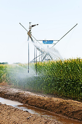 포토 JPG 해외이미지 식물 음식 밭 농업 채소 옥수수 사람없음 물 농작물 농장 센터 뿌리기 스프레이 북쪽 8월 콜로라도 해외202004 해외포토 자연요소 산업 모션 곡류 미국 날짜 방향 파일형식 이미지허브