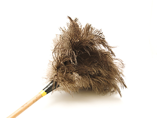 포토 JPG 해외이미지 손 백그라운드 가정 손잡이 사람없음 장비 흰색 먼지떨이 청소 깃털 먼지 타조 고립 해외202004 해외포토 컬러 조류 신체부위 청소도구 파일형식 이미지허브