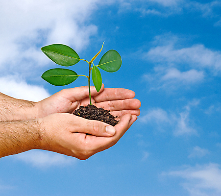 포토 JPG 해외이미지 나무 식물 구름 손 지구 백그라운드 잎 자연 하늘 미래 새로움 손바닥 사람없음 초록색 새싹 환경 성장 닫기 보호 발자국 심볼 생태계 리빙 세대 개발 생태학 심기 이슈 해외202004 해외포토 자연요소 교육 컬러 컨셉 자국 모션 신체부위 파일형식 이미지허브