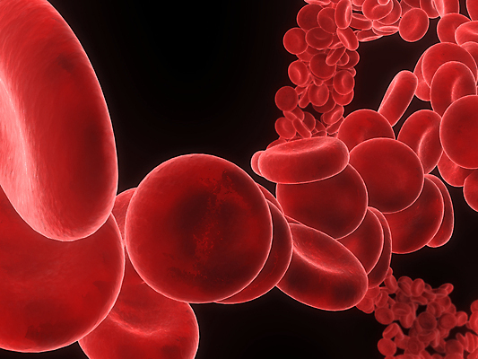 포토 JPG 해외이미지 세포 사람없음 빨간색 3D 적혈구 혈구 해외202004 해외포토 컬러 디지털합성 혈관 파일형식 이미지허브