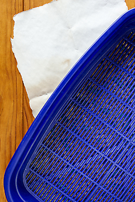 포토 JPG 해외이미지 동물 종이 모래 백그라운드 쟁반 사람없음 목재 가로 파란색 반려동물 상자 고양이 장비 쓰레기 컨테이너 플라스틱 가득함 오브젝트 직사각형 돌봄 변기통 위생관리 해외202004 해외포토 도형 나무 산업 컬러 재료 포유류 모션 재질 관리 파일형식 이미지허브