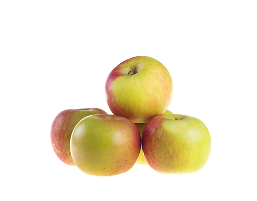 포토 JPG 해외이미지 식물 1 음식 백그라운드 잎 농업 다이어트 과일 자연 디저트 건강 사람없음 빨간색 초록색 컬러풀 흰색 신선 달콤 사과 먹기 싱글 유기농 강렬 고립 숙성 채식주의자 해외202004 해외포토 웰빙 산업 컬러 모션 맛 생태계 채식 파일형식 이미지허브