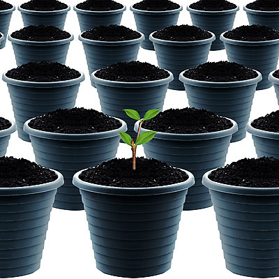 포토 JPG 해외이미지 식물 꽃 화분 화초 백그라운드 컨셉 농업 자연 새로움 사람없음 초록색 쌓기 새싹 정원 흙 성장 도자기 플라스틱 흰배경 원예 땅바닥 해외202004 해외포토 산업 컬러 모션 재질 바닥 취미 흰색 생태계 파일형식 이미지허브