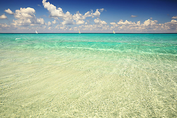 포토 JPG 해외이미지 구름 스포츠 바다 여행 요트 교통시설 자연 하늘 휴가 휴식 항해 3 풍경 사람없음 야외 물 여름 파란색 침묵 투명 보트 함선 쿠바 대서양 추적 파라다이스 수평선 해외202004 해외포토 자연요소 계절 컬러 교통 컨셉 배_교통 모션 소리 중앙아메리카 시설 생태계 파일형식 이미지허브