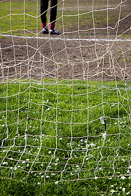 포토 JPG 해외이미지 식물 계절 꽃 스포츠 백그라운드 꽃무늬 밭 자연 놀이 잔디 사람없음 초록색 축구 경기장 봄 벚꽃 게임 흰색 신선 그물 개화 연습 데이지 골키퍼 내추럴 골 양발 캐모마일 플레이어 해외202004 해외포토 컬러 무늬 농업 스포츠시설 운동선수 구기 허브 생태계 파일형식 이미지허브