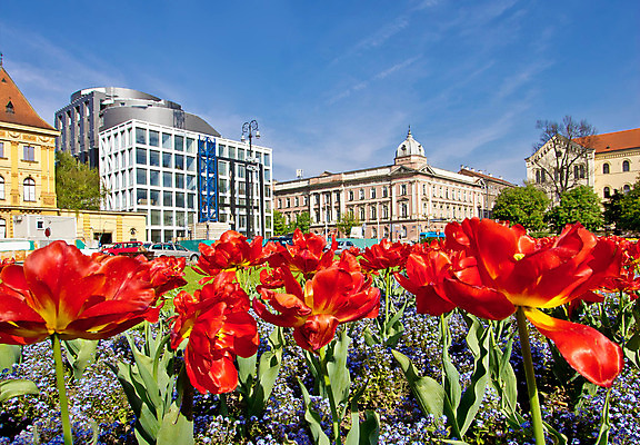 포토 JPG 해외이미지 식물 공원 꽃 유럽 건축양식 자연 하늘 풍경 사람없음 건물 빨간색 초록색 파란색 컬러풀 노란색 환경 정원 튤립 도시 센터 도심 그림 대학교 정사각형 장면 지역 타운 크로아티아 일반 내추럴 자그레브 해외202004 해외포토 도형 건축물 공공시설 건축 나라 컬러 학교 생태계 파일형식 이미지허브