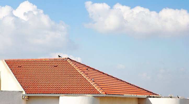 포토 JPG 해외이미지 구름 오렌지 건축양식 조류 하늘 지붕 주택 사람없음 건물 빨간색 파란색 흰색 작음 타일 비둘기 해외202004 해외포토 자연요소 동물 건축물 건축 컬러 과일 크기 파일형식 이미지허브
