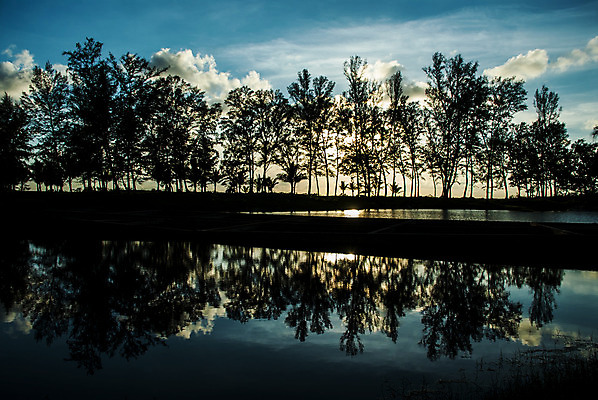 포토 JPG 해외이미지 나무 구름 실루엣 호수 오렌지 자연 하늘 아침 풍경 사람없음 야외 목재 빨간색 물 여름 파란색 빛 강 컬러풀 햇빛 태양 반사 노란색 평화 일출 환경 맑음 일몰 봄 거울 나뭇가지 시골 연못 황금 저녁 숲 장면 마법 스카이라인 해외202004 해외포토 주간 자연요소 식물 계절 컬러 컨셉 과일 재료 날씨 촬영기법 노을 야간 생태계 파일형식 이미지허브