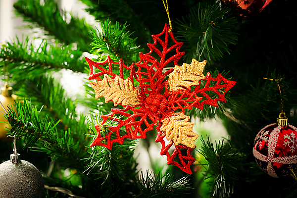 포토 JPG 해외이미지 나무 전통 디자인 계절 행복 백그라운드 크리스마스 겨울 패턴 공 유리 휴가 불꽃 새로움 주택 기념 따뜻함 선물 사람없음 내부 장식 빨간색 초록색 빛 노란색 축제 화환 방 흰색 축하 소나무 황금 야간 12월 연도 벽난로 블러 해외202004 해외포토 자연요소 식물 기념일 꽃 감정 컬러 컨셉 무늬 재질 불 건물 날짜 파일형식 이미지허브