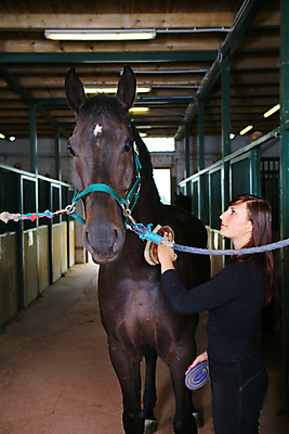 포토 JPG 해외이미지 동물 여자 행복 밧줄 스포츠 한명 야외 가로 봄 잡기 기다림 닫기 볏짚 승차 헬멧 준비 굴레 돌봄 해외202004 해외포토 1 계절 감정 줄 모션 사람 짚 보호장비 파일형식 이미지허브