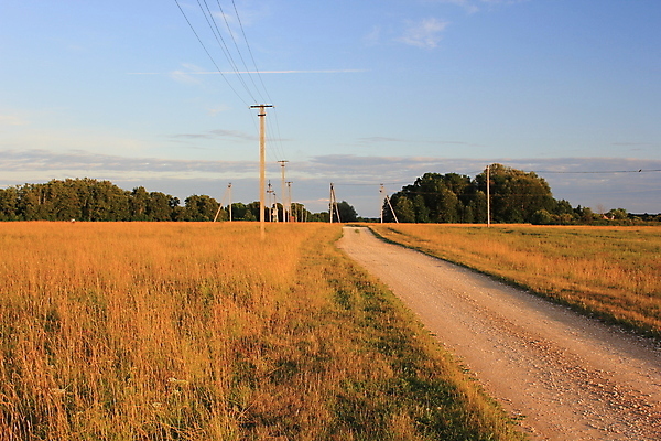 포토 JPG 해외이미지 구름 도로 하늘 휴식 사람없음 여름 마을 저녁 밀 해외202004 해외포토 자연요소 계절 길 컨셉 교통시설 곡류 야간 파일형식 이미지허브