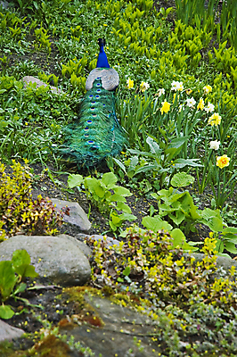 포토 JPG 해외이미지 동물 공원 꽃 자연 조류 잔디 사람없음 초록색 정원 공작 깃털 꼬리 망사 해외202004 해외포토 식물 공공시설 컬러 직물 생태계 파일형식 이미지허브