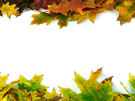 포토 JPG 해외이미지 계절 백그라운드 잎 프레임 사람없음 장식 빨간색 초록색 컬러풀 갈색 가을 흰색 10월 카피스페이스 해외202004 해외포토 식물 컬러 공백 날짜 파일형식 이미지허브