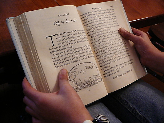 포토 JPG 해외이미지 어린이 관리 사람없음 책 독서 기쁨 잡기 해외202004 해외포토 감정 모션 사람 파일형식 이미지허브