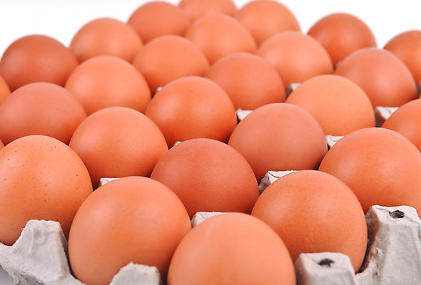 포토 JPG 해외이미지 동물 종이 음식 백그라운드 재료 포장 자연 쟁반 사람없음 상자 농장 갈색 계란 치킨 껍질 흰색 신선 그룹 아침식사 상품 컨테이너 오브젝트 유기농 날것 패키지 고립 단백질 해외202004 해외포토 웰빙 산업 컬러 농업 알 식사 생태계 닭고기요리 영양소 파일형식 이미지허브