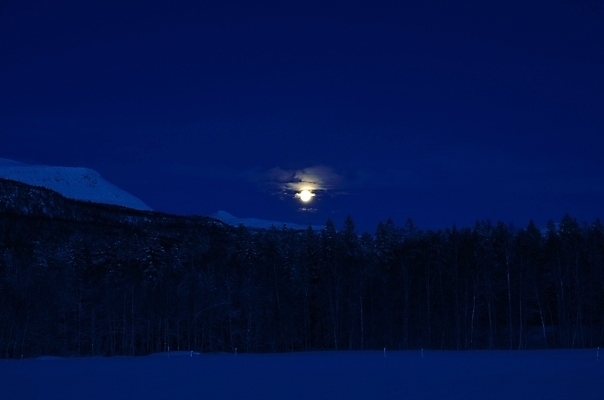 포토 JPG 해외이미지 나무 구름 계절 별 겨울 밭 자연 하늘 산 파노라마 노르웨이 그림자 풍경 사람없음 야외 목재 빛 놀람 행성 추위 달 흰색 황무지 야간 숲 12월 유혹 북극 가득함 만족 장면 북쪽 내추럴 영 깊이 북극해 몽환 환상 해외202004 해외포토 자연요소 식물 감정 유럽 바다 컬러 컨셉 농업 재료 촬영기법 표정 숫자 우주 날짜 극지방 방향 생태계 파일형식 이미지허브