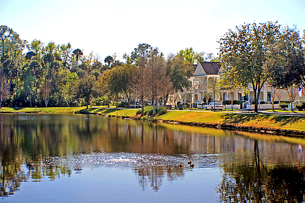 포토 JPG 해외이미지 나무 동물 호수 여행 자연 하늘 휴가 휴식 주택 오리 풍경 사람없음 야외 물 여름 강 햇빛 숲 잔물결 해외202004 해외포토 자연요소 식물 계절 물결 컨셉 조류 건물 태양 생태계 파일형식 이미지허브
