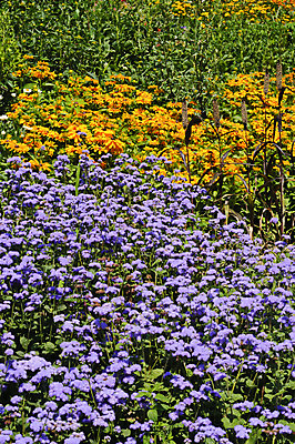 포토 JPG 해외이미지 식물 계절 공원 꽃잎 꽃 분홍색 백그라운드 잎 꽃무늬 밭 자연 풍경 사람없음 야외 초록색 여름 파란색 컬러풀 노란색 정원 보라색 봄 벚꽃 시골 소나무 개화 제비꽃 원예 데이지 장면 솔방울 원뿔 내추럴 해외202004 해외포토 도형 나무 공공시설 컬러 무늬 농업 취미 생태계 파일형식 이미지허브