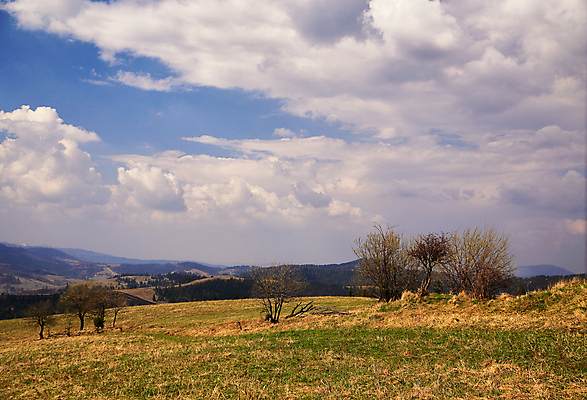 포토 JPG 해외이미지 나무 꽃 도로 밭 자연 산 주택 풍경 사람없음 초록색 농경지 마을 계곡 맑음 봄 벚꽃 시골 숲 4월 언덕 우크라이나 해외202004 해외포토 식물 계절 유럽 길 컬러 농업 교통시설 날씨 건물 농장 날짜 생태계 파일형식 이미지허브