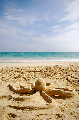 포토 JPG 해외이미지 구름 모래 바다 조각 여행 놀이 하늘 휴가 휴식 따뜻함 풍경 사람없음 물 여름 파란색 모래사장 평화 맑음 침묵 꿈 흰색 고독 탈출 장면 문어 공화국 완벽 이국적 터키석 해외202004 해외포토 자연요소 계절 감정 나라 컬러 컨셉 날씨 연체동물 수중동물 소리 보석 파일형식 이미지허브