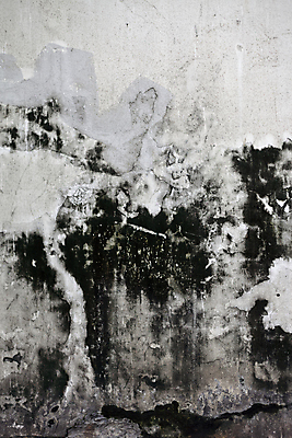 포토 JPG 해외이미지 벽 백그라운드 패턴 일러스트 표면 날씨 추상 바닥 프레임 미술 사람없음 건물 장식 파란색 갈색 어둠 페인트 손상 회색 수확 골동품 도시 얼룩 거친 역사 보행로 균열 질감 복고 캔버스 시멘트 페이지 정맥 그런지 썩음 양피지 옛날 화상 해외202004 해외포토 건축물 길 컬러 컨셉 무늬 농업 모션 문화예술 상처 혈관 파일형식 이미지허브