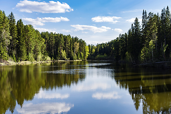 포토 JPG 해외이미지 나무 구름 공원 호수 여행 자연 하늘 풍경 사람없음 야외 목재 초록색 물 여름 파란색 반사 평화 맑음 침묵 경계선 소나무 숲 장면 지역 상록수 침엽수 삼나무 삼림지대 가문비나무 해외202004 해외포토 자연요소 식물 계절 공공시설 선 컬러 컨셉 재료 날씨 소리 경계 생태계 파일형식 이미지허브