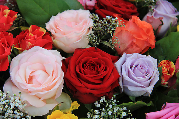 포토 JPG 해외이미지 식물 꽃잎 꽃 분홍색 꽃다발 컨셉 오렌지 자연 사람없음 장식 빨간색 초록색 여름 장미 노란색 봄 배열 꽃집 묘사 라일락 섞기 해외202004 해외포토 계절 컬러 과일 상점 생태계 파일형식 이미지허브