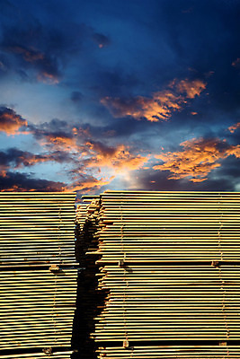 포토 JPG 해외이미지 나무 산업 패턴 자연 하늘 프레임 사람없음 야외 목재 가로 파란색 인테리어 태양 갈색 쌓기 일몰 건설현장 소나무 횡단보도 널 숲 장작 창고 날것 일렬 결 흙더미 수목 카피스페이스 해외202004 해외포토 자연요소 식물 디자인 컬러 무늬 재료 모션 건설업 노을 흙 공백 보행로 생태계 파일형식 더미 이미지허브