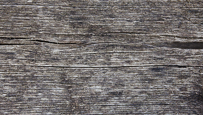 포토 JPG 해외이미지 백그라운드 추상 사람없음 목재 질감 통나무 해외202004 해외포토 나무 무늬 재료 파일형식 이미지허브