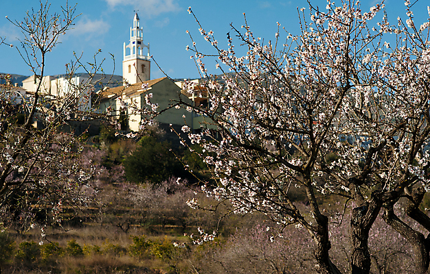 포토 JPG 해외이미지 나무 전통 꽃 자연 풍경 사람없음 가로 농장 교회 평화 마을 흰색 시골 개화 스페인 숲 지중해 타운 종탑 스페인어 알리칸테 옛날 해외202004 해외포토 식물 유럽 바다 컬러 컨셉 농업 종교건축 건물 탑 도시 생태계 파일형식 이미지허브