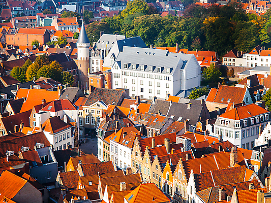 포토 JPG 해외이미지 외관 유럽 문화 여행 오렌지 건축양식 지붕 휴가 벽돌 거리 주택 안테나 파노라마 풍경 사람없음 건물 빨간색 여름 도시풍경 햇빛 교회 탑 도시 센터 중세 역사 정상 옥상 벨기에 장면 타운 옛날 스타일 해외202004 해외포토 건축물 계절 건축 나라 컬러 과일 통신 종교건축 촬영기법 태양 서유럽 파일형식 이미지허브