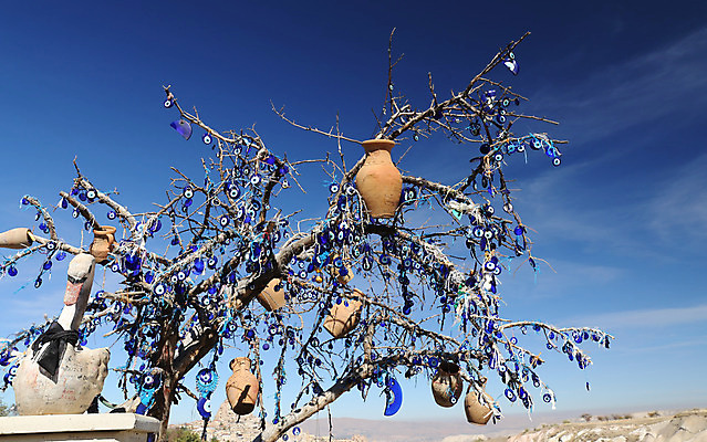 포토 JPG 해외이미지 나무 여행 목걸이 카파도키아 사람없음 칠면조 해외202004 해외포토 식물 장신구 조류 파일형식 튀르키예 이미지허브