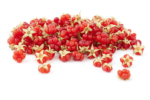 포토 JPG 해외이미지 음식 과일 사람없음 빨간색 큼 흰배경 산딸기 숙성 해외202004 해외포토 컬러 백그라운드 흰색 크기 파일형식 이미지허브