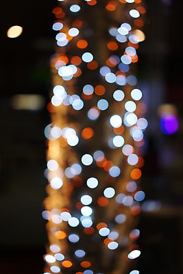 포토 JPG 해외이미지 나무 도로 크리스마스 겨울 꽃무늬 모션 추상 새해 거리 발렌타인데이 풍경 사람없음 빛 도시풍경 컬러풀 어둠 봄 도시 야간 소프트포커스 보케 해피뉴이어 타운 광 블러 유흥 춘절 해외202004 해외포토 자연요소 식물 계절 명절 기념일 꽃 길 컬러 무늬 교통시설 데이이벤트 촬영기법 새해인사 중국전통 파일형식 이미지허브