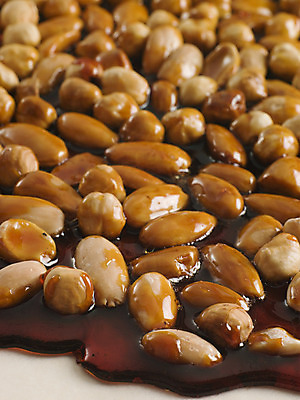 포토 JPG 해외이미지 음식 재료 디저트 사탕 요리 사람없음 세로 식사 견과류 프랑스 달콤 설탕 아몬드 레시피 꿀 푸딩 프랑스어 헤이즐넛 프랄린 해외202004 해외포토 문자 유럽 맛 파일형식 이미지허브