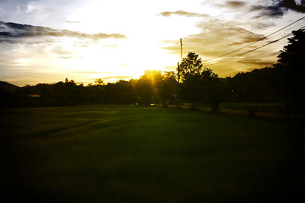 포토 JPG 해외이미지 나무 실루엣 호수 여행 백그라운드 밭 자연 하늘 아침 풍경 잔디 사람없음 야외 초록색 물 여름 파란색 빛 햇빛 태양 농장 노란색 일출 환경 일몰 새벽 기차 안개 광선 시골 저녁 상승 스카이라인 내추럴 선로 파라다이스 수평선 해외202004 해외포토 주간 자연요소 식물 계절 육상교통 컬러 컨셉 농업 날씨 대중교통 촬영기법 노을 야간 생태계 파일형식 이미지허브