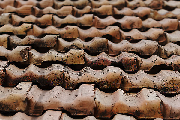 포토 JPG 해외이미지 디자인 백그라운드 컨셉 패턴 모션 자연 벽지 추상 미술 잔디 사람없음 야외 목재 장식 빛 쇼핑 태양 우주 환경 공백 활발 점 거친 보호 질감 소매 내추럴 넣기 현상 효과 해외202004 해외포토 자연요소 나무 식물 무늬 재료 문화예술 생태계 파일형식 이미지허브