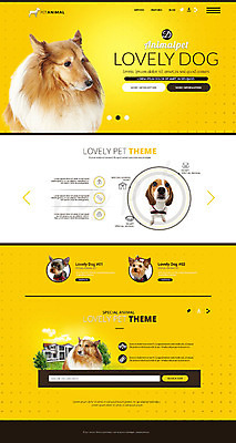 PSD 템플릿 웹템플릿 사이트템플릿 사람없음 반려동물 홈페이지 홈페이지시안 강아지 콜리 반려 이미지템플릿 동물 개 파일형식