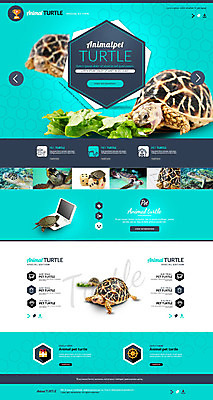 PSD 템플릿 웹템플릿 사이트템플릿 사람없음 홈페이지 홈페이지시안 거북이 반려 이미지템플릿 파충류 파일형식