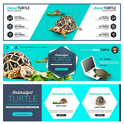PSD 템플릿 배너 웹템플릿 사람없음 거북이 반려 이벤트배너 웹배너 이미지템플릿 파충류 파일형식