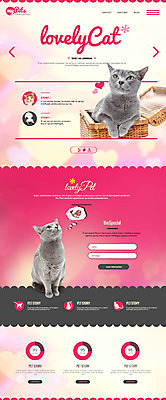 PSD 템플릿 웹템플릿 사람없음 반려동물 홈페이지 고양이 홈페이지시안 반려 랜딩페이지 이미지템플릿 동물 포유류 파일형식